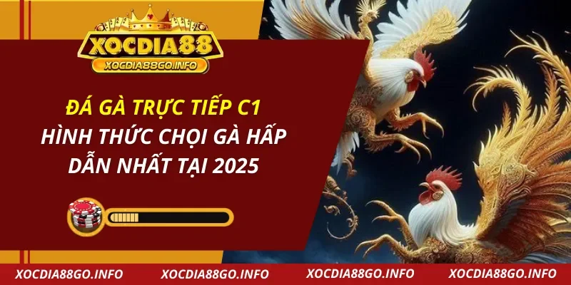 Đá Gà Trực Tiếp C1