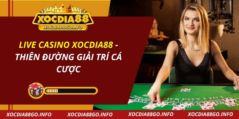 live casino